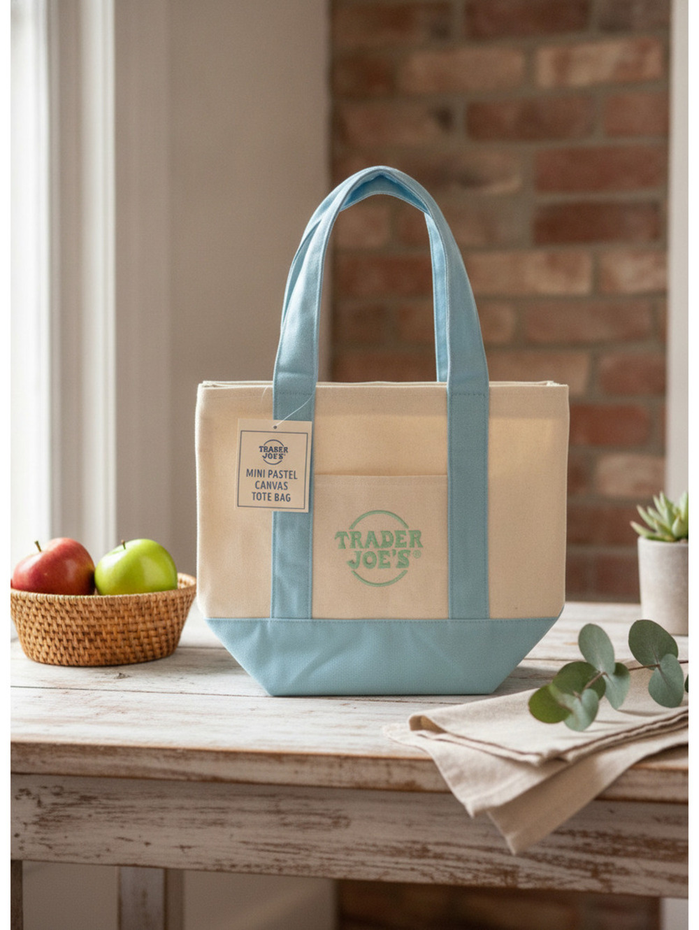 Trader Joe's Mini Pastel Canvas Tote Bag in Cream and Light Blue